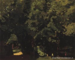 Park Park