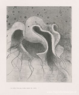 De dieren van de zee, rond als leren flessen (plaat 22) De dieren van de zee, rond als leren flessen (plaat 22)