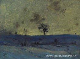 Sneeuwvelden, avond Sneeuwvelden, avond