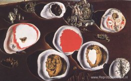 Accommodaties van verlangen Accommodaties van verlangen