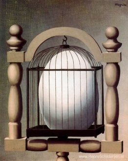 Keuzevakken Keuzevakken