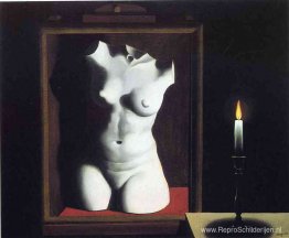 Het licht van het toeval Het licht van het toeval