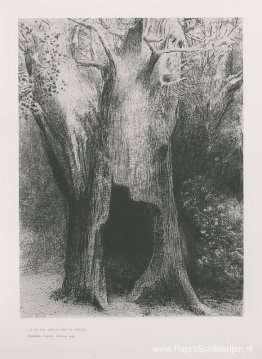 Ik stortte me in de eenzaamheid. Ik bleef in de boom achter mij Ik stortte me in de eenzaamheid. Ik bleef in de boom achter mij