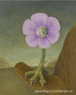 Hersenschim Hersenschim