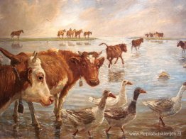 Slecht weer Slecht weer