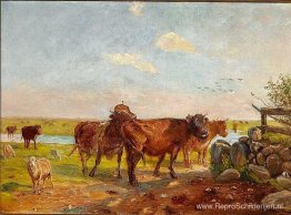 Vee op Saltholm Vee op Saltholm