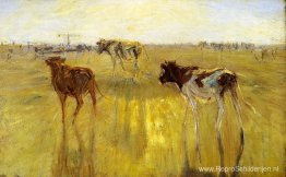 Vee gezien tegen de zon op het eiland Saltholm. Een kleurenstudi Vee gezien tegen de zon op het eiland Saltholm. Een kleurenstudi