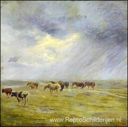 Een douche Een douche