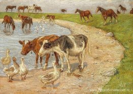 Het grote stuwmeer, Saltholm Het grote stuwmeer, Saltholm