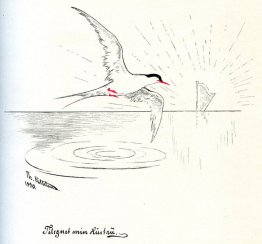 Maanden van het jaar eerste pagina Maanden van het jaar eerste pagina