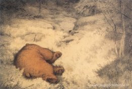 Bruin slaapt in de bosbessenstruiken Bruin slaapt in de bosbessenstruiken