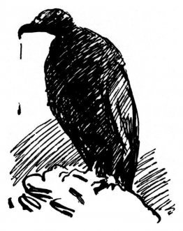 Havik Havik