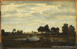 Landschap Landschap