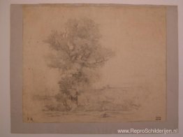 Landschap Landschap