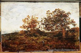 Landschap Landschap