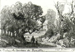 Een pad in het bos Een pad in het bos