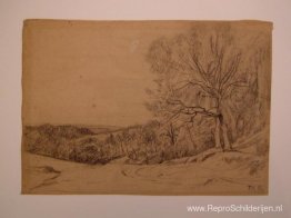 Landschap Landschap