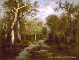 Het bos van Fontainebleau Het bos van Fontainebleau