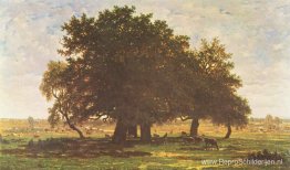 Steeneiken, Apremont Steeneiken, Apremont