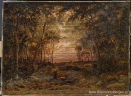 Zonsondergang in het bos Zonsondergang in het bos