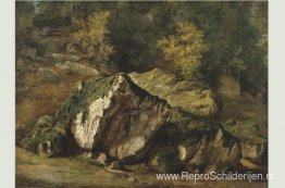 Studie van rotsen Studie van rotsen