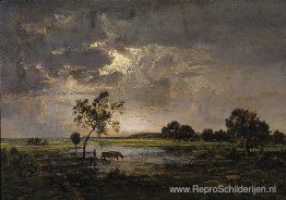 Landschap Landschap
