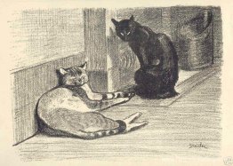 Twee katten Twee katten