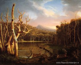 Meer met dode bomen (Catskill) Meer met dode bomen (Catskill)