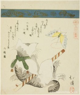 Kat speelt met een speelgoedvlinder Kat speelt met een speelgoedvlinder