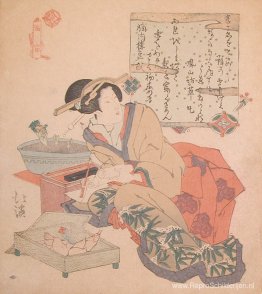 Bamboescheuten Bamboescheuten