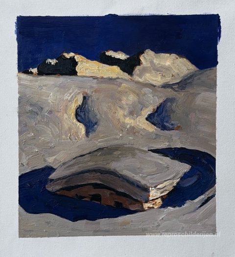 Schilderij in opdracht – foto van het voltooide schilderij