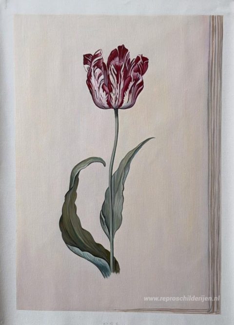 Tulp – met de hand geschilderde reproductie, foto van het voltooide schilderij