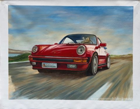 Schilderij in opdracht – foto van het voltooide schilderij