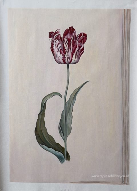 Tulp – met de hand geschilderde reproductie, foto van het voltooide schilderij