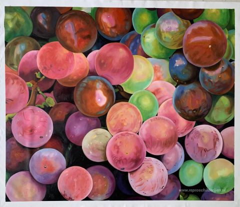 Schilderij in opdracht – foto van het voltooide schilderij
