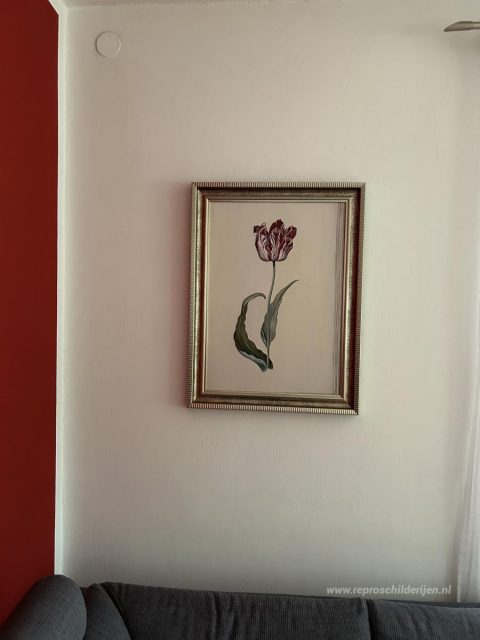 Tulp – met de hand geschilderde reproductie, foto van het voltooide schilderij