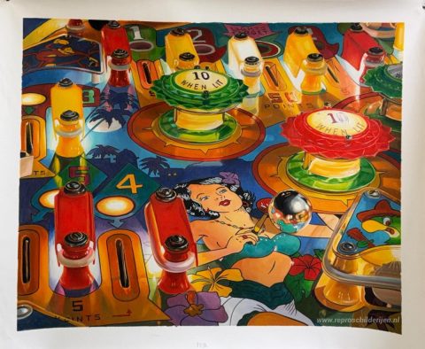 Schilderij in opdracht – foto van het voltooide schilderij