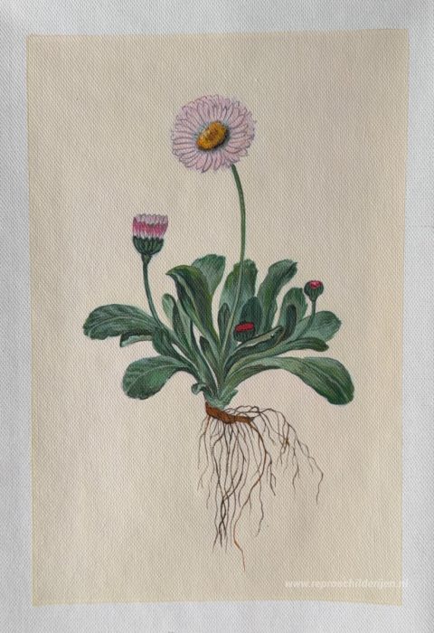 Bloemen met wortels – met de hand geschilderde reproductie, foto van het voltooide schilderij