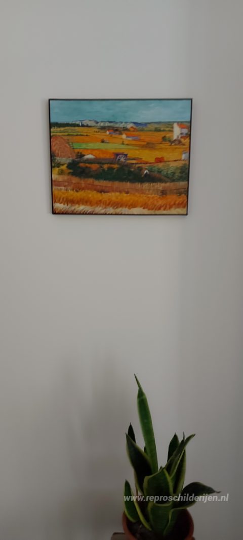 Oogst in La Crau, met Montmajour op de achtergrond – met de hand geschilderde reproductie, foto van het voltooide schilderij