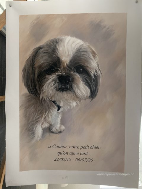 Schilderij in opdracht – foto van het voltooide schilderij