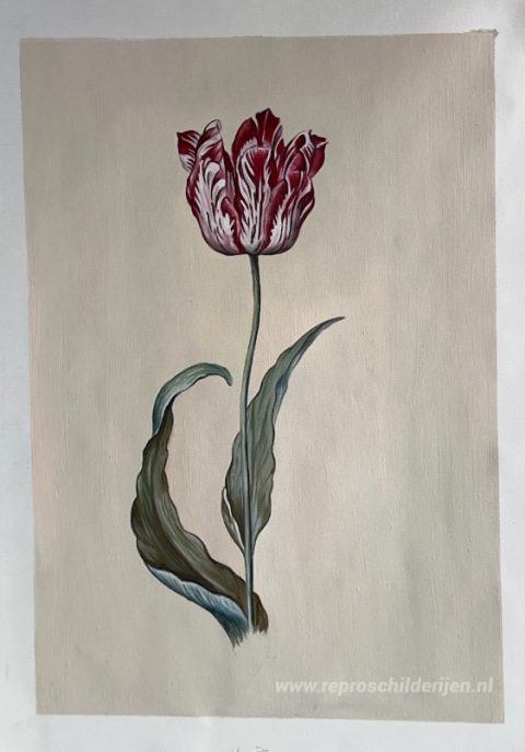 Tulp – met de hand geschilderde reproductie, foto van het voltooide schilderij