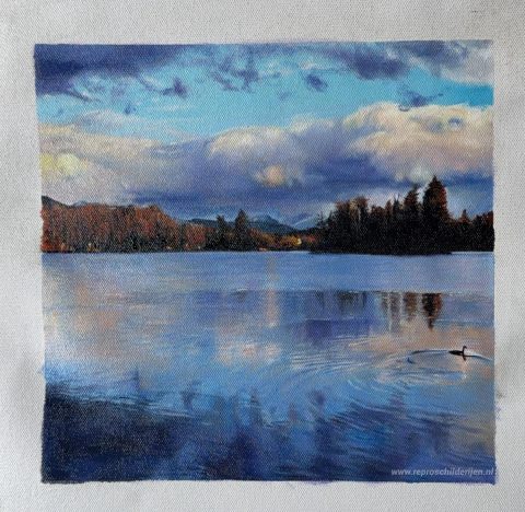 Schilderij in opdracht – foto van het voltooide schilderij