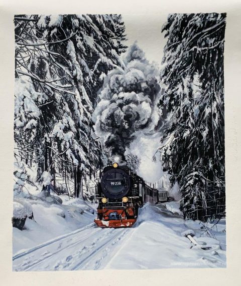 Schilderij in opdracht – foto van het voltooide schilderij