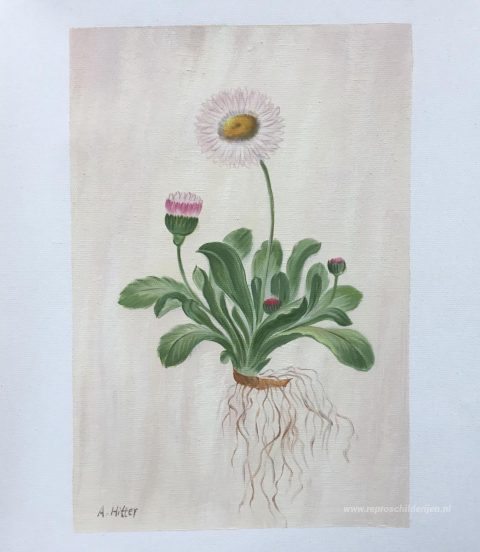 Schilderij in opdracht – foto van het voltooide schilderij