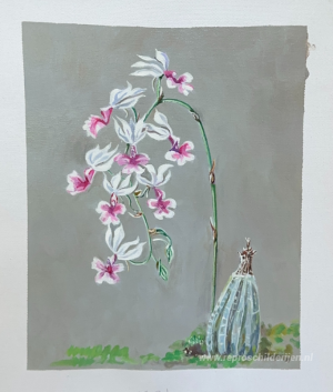 Aangepaste schilderijen