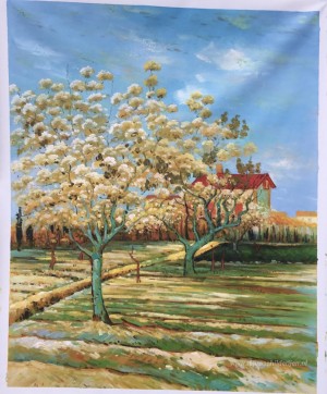 Boomgaard in bloei 