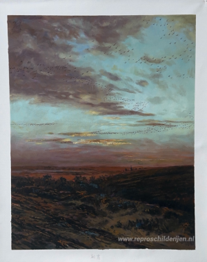 Avondmigratie van vogels