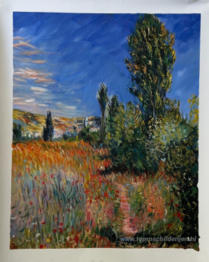 Landschap op het Ile Saint-Martin