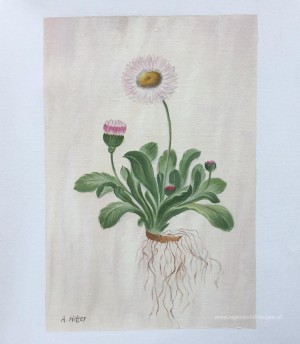 Aangepaste schilderijen