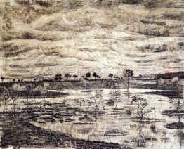 Een moeras Een moeras